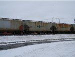 CEFX 302827 & CITX 151542